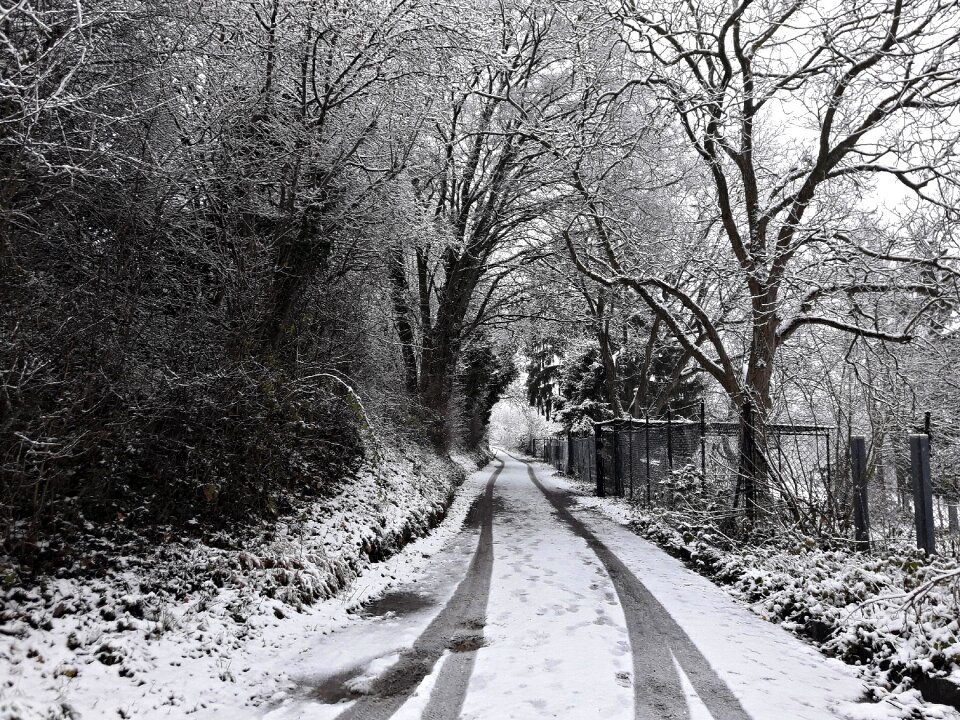 Alley white landscape