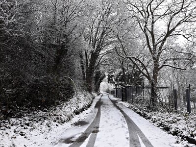 Alley white landscape