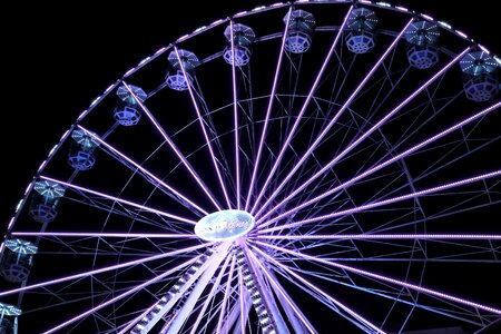 Festival attraction night