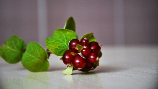 Healthy red fruit nature