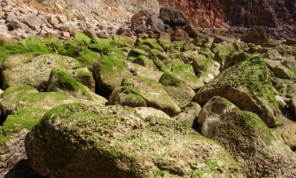 Nature coast beach