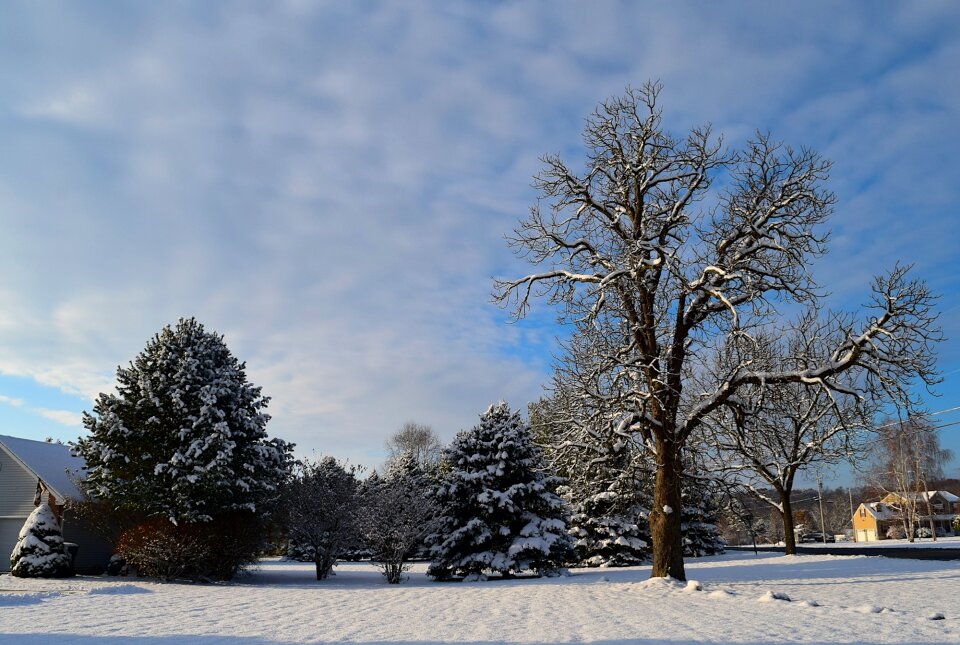 Winter landscape cold photo