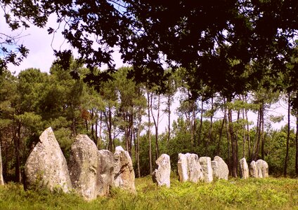 Brittany trees megalithic monument photo