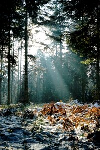 Landscape outdoor zen photo