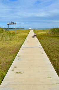 Summer landscape walkway