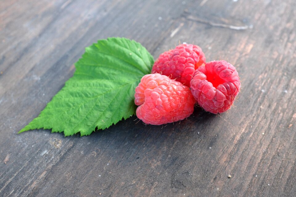 Fruit garden letter