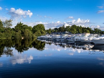 Calm water water trees photo