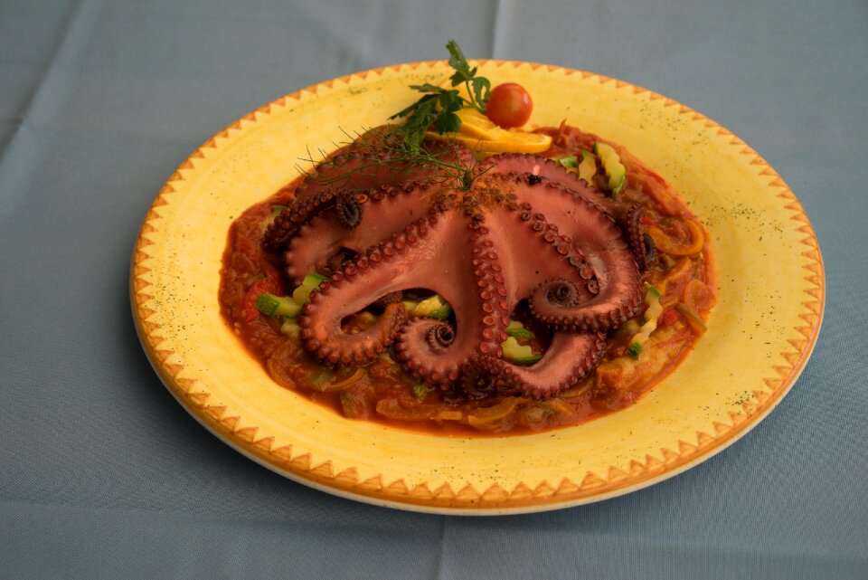 Dish epicure delicious
