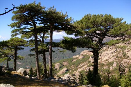 Landscape panoramic corsican