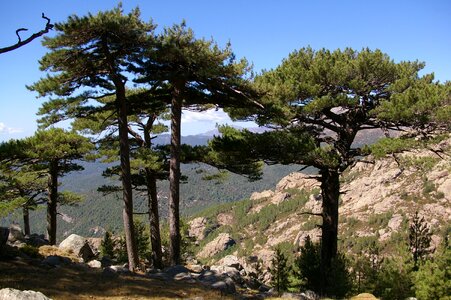 Landscape panoramic corsican photo