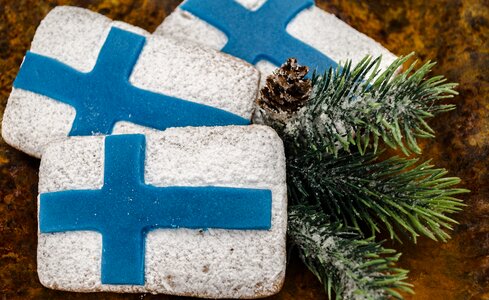 Independence day finnish blue and white