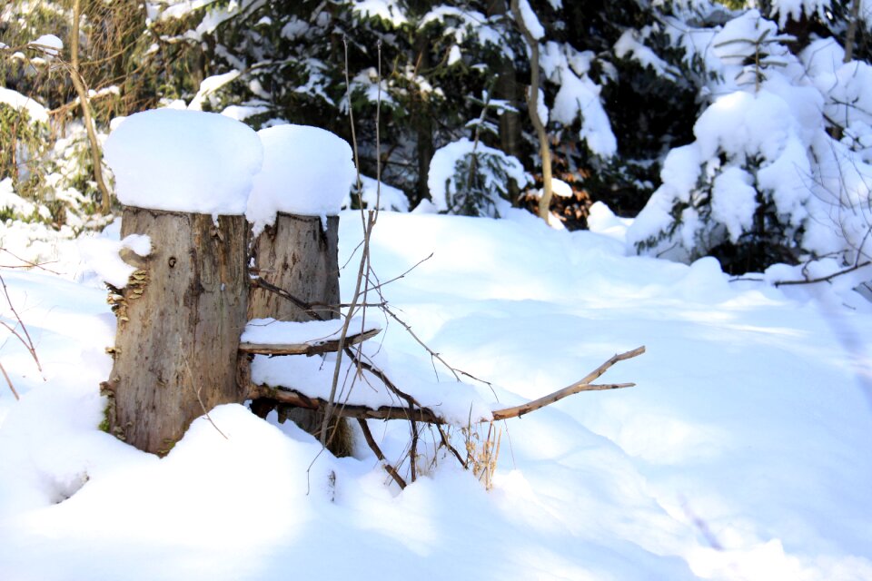 Frost frozen snagit