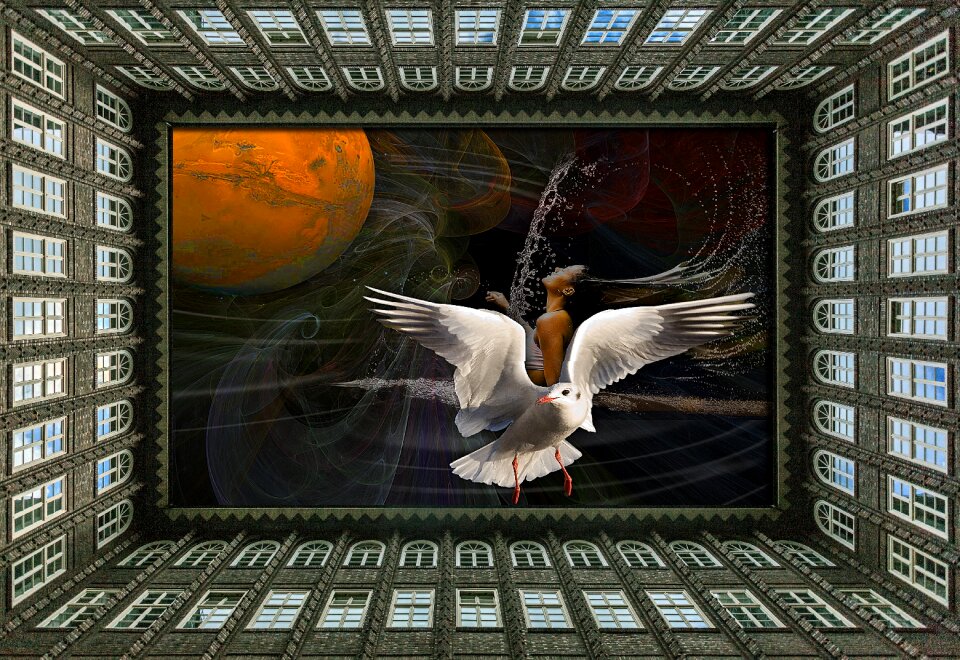 Dreams imagination freedom