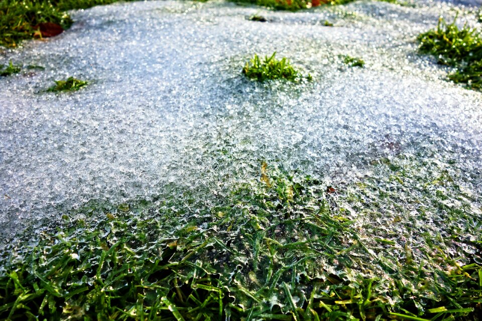 Frost crystal winter