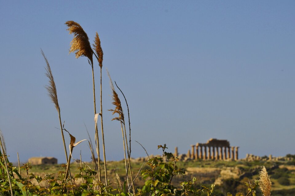 Temple summer holiday