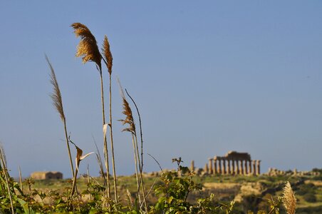 Temple summer holiday