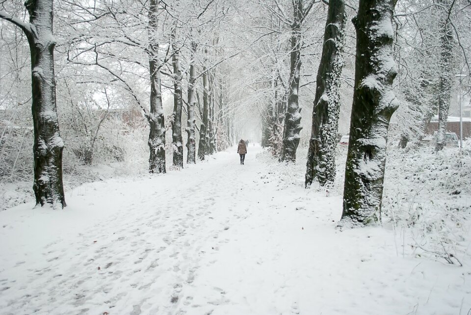 Dutch landscape cold netherlands