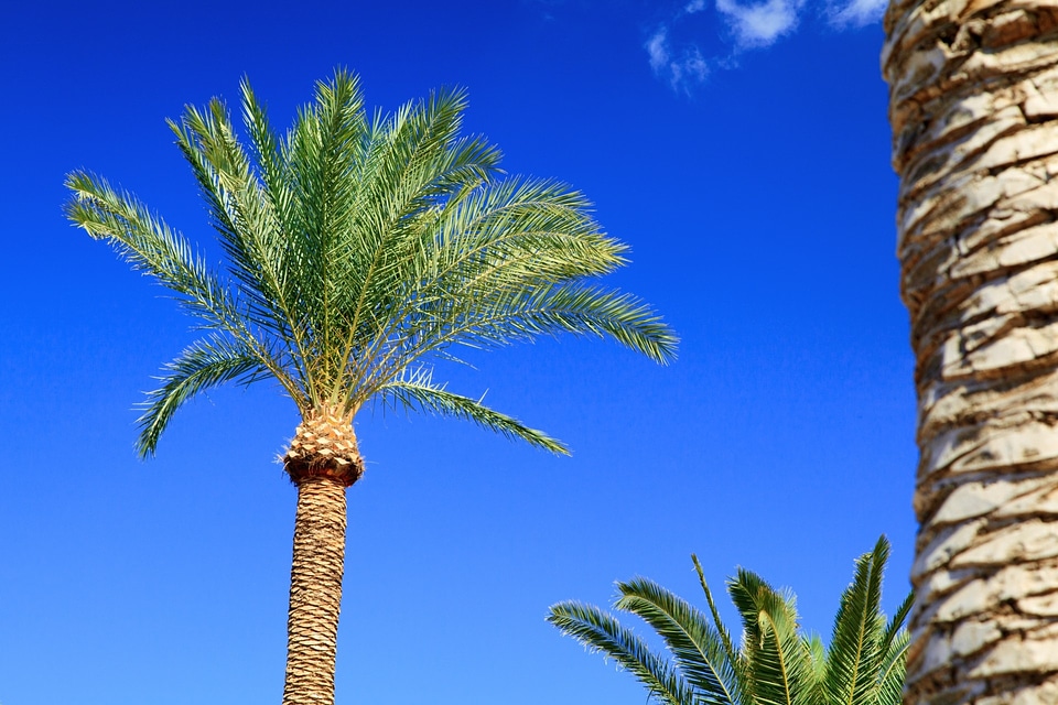 Tropical island paradise