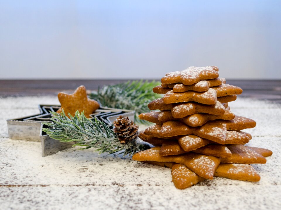 Pastry dessert christmas