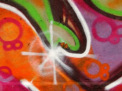 Butterfly the painted lady sat down on graffiti photo