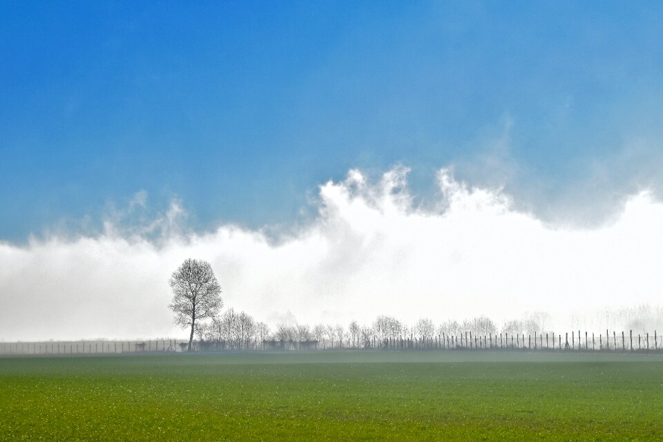 Clouds sky trees