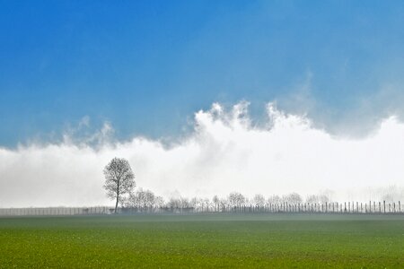 Clouds sky trees photo