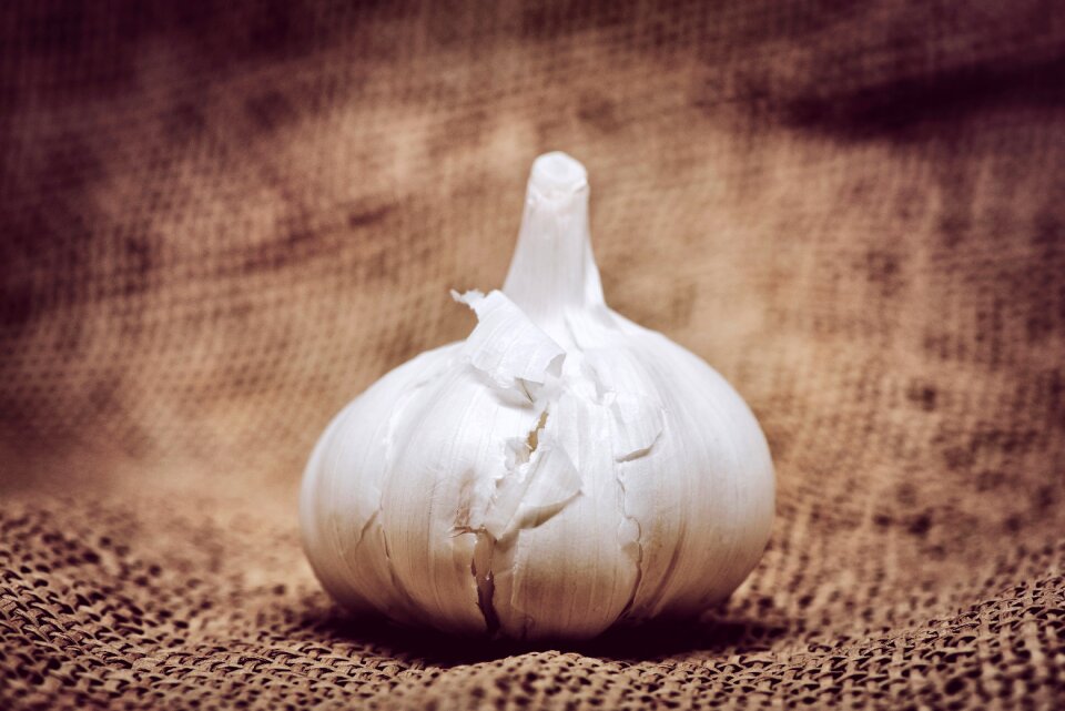 Food healthy plant