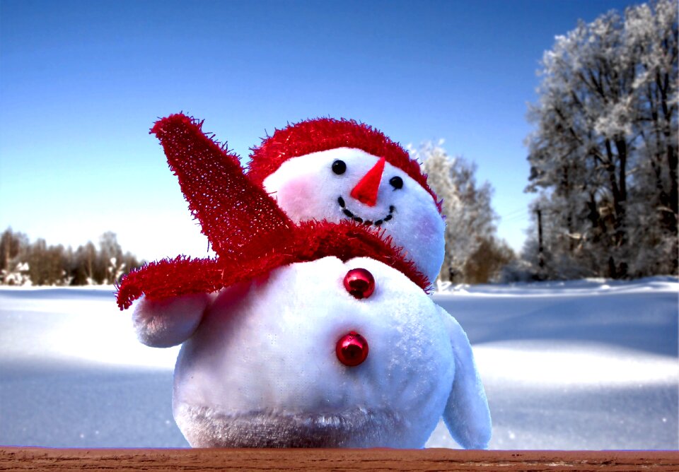 Christmas cold season