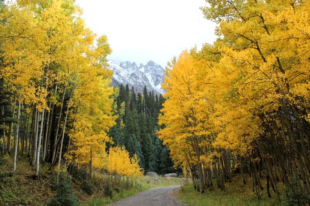 Rocky mountains landscape colorful photo