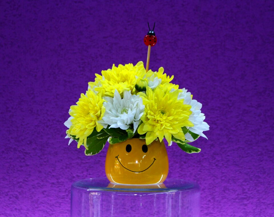 Color bouquet flora
