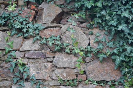 Old wall stone wall texture photo