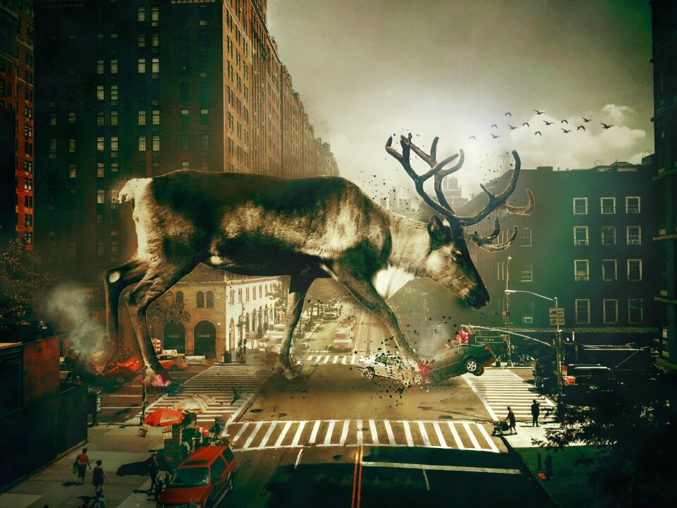 City art fine arts