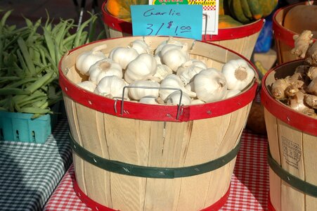 Garlic for sale sell photo
