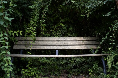 Leaf nature garden