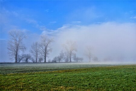 Grass sky fog