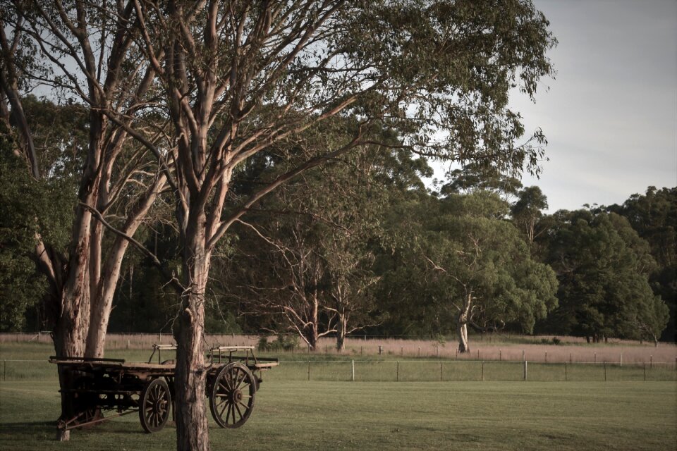 Landscape outdoors wagon