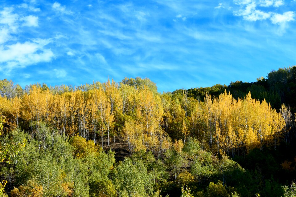 Beautiful outdoor landscape