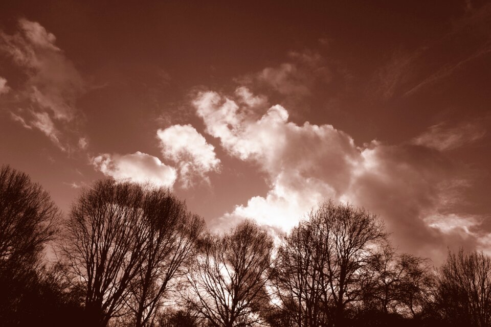 Skies clouds cloudscape