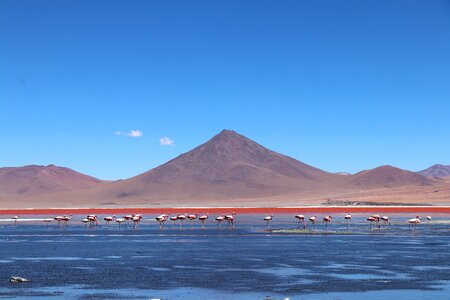 Mountain landscape desert