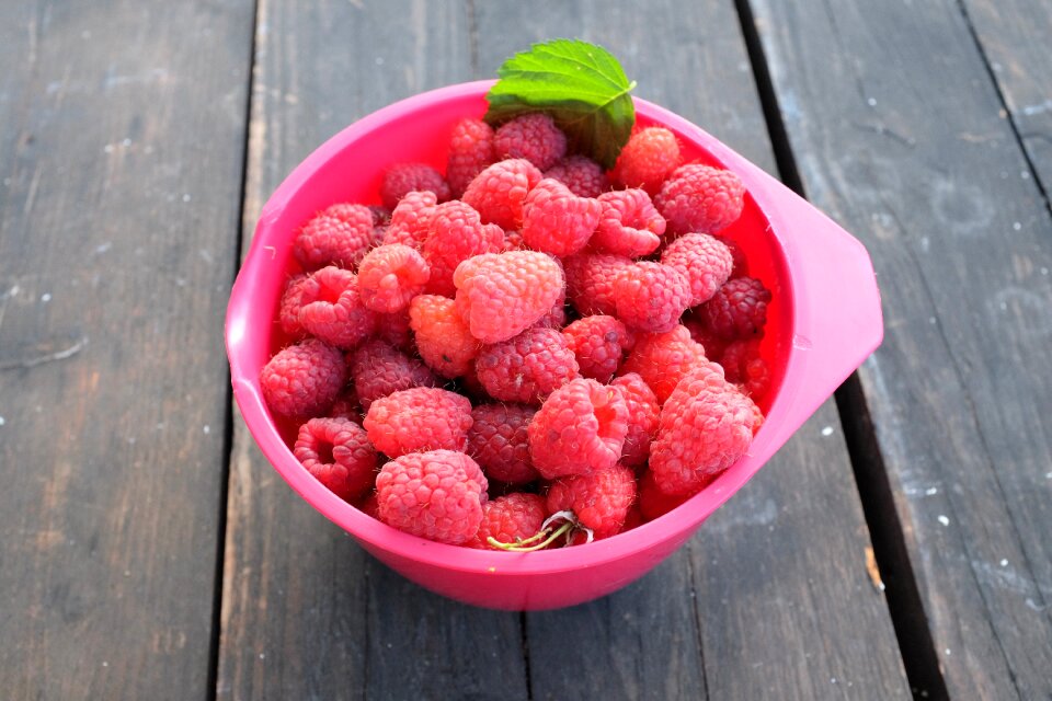 Berry garden fruits