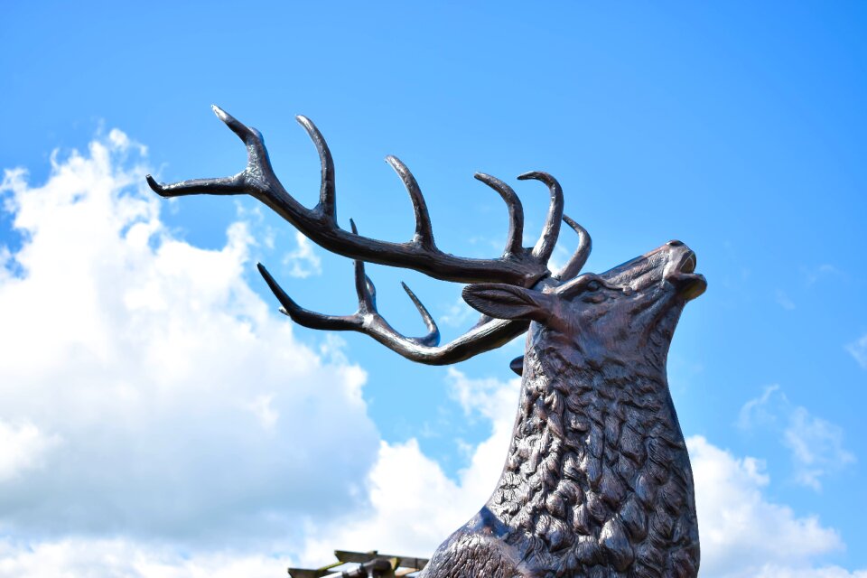 Blue sky deer head antler