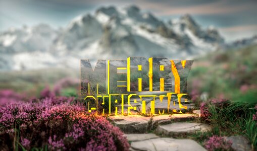Sky flower christmas