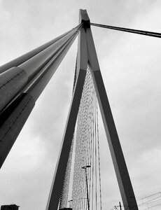 City suspension bridge perspective