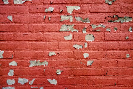 Flaking paint painted wall flake
