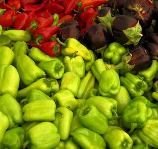 Grow pepper healthy