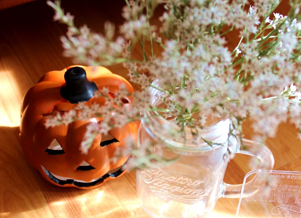 Pumpkin flowers whites