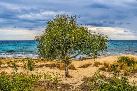 Beach nature scenery