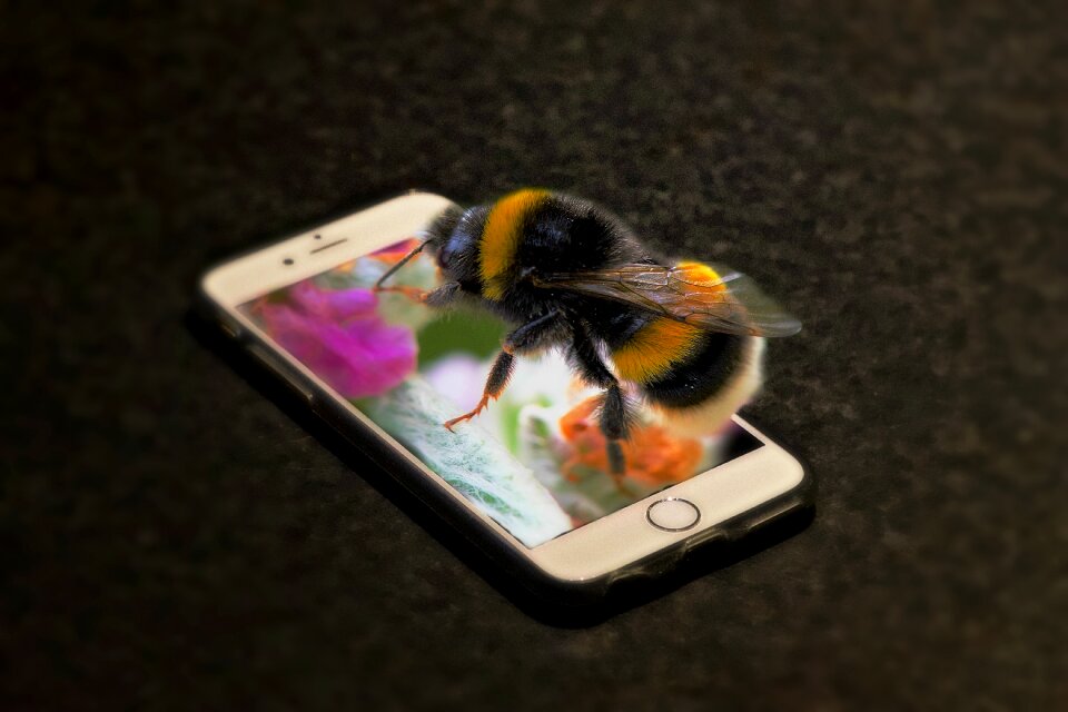 Macro forage portable