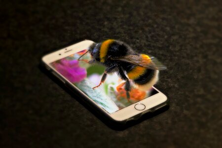 Macro forage portable
