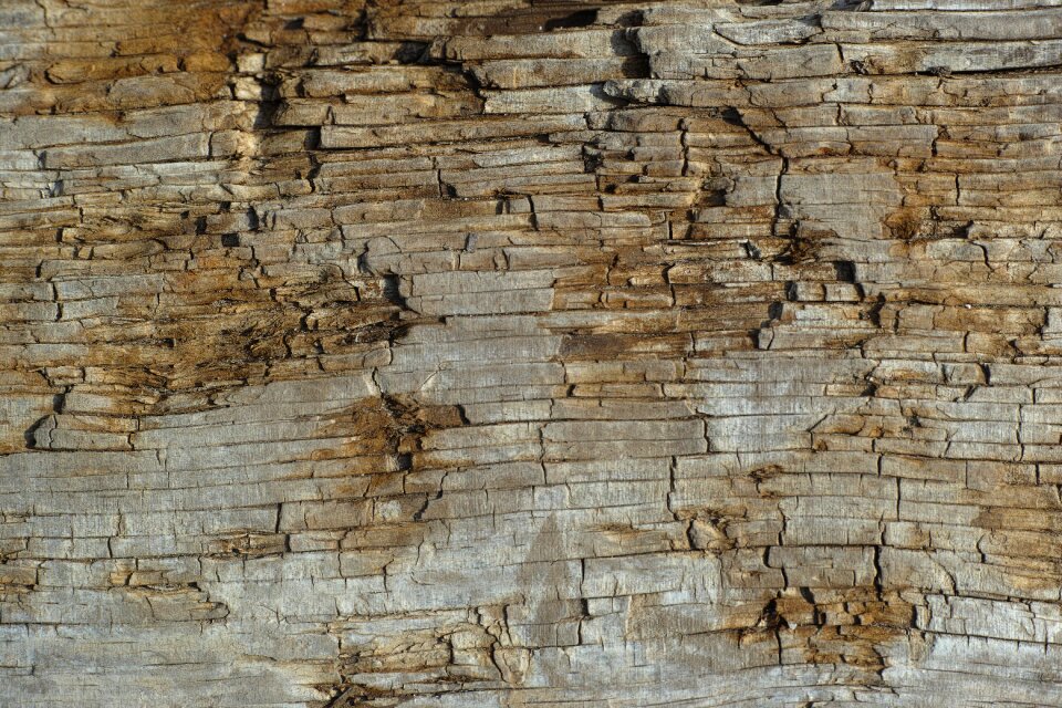 Macro detail background